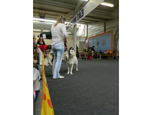 ����������� 250.jpg