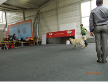 ����������� 251.jpg