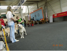 ����������� 252.jpg