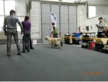 ����������� 253.jpg