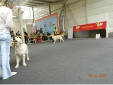 ����������� 254.jpg