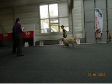 ����������� 255.jpg