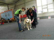 ����������� 256.jpg