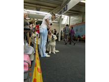 ����������� 257.jpg