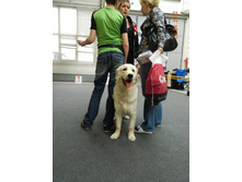 ����������� 258.jpg