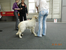 ����������� 260.jpg