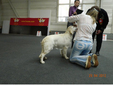 ����������� 261.jpg