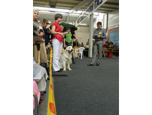 ����������� 262.jpg