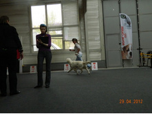 ����������� 263.jpg