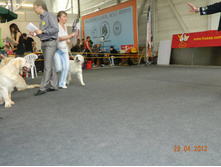 ����������� 264.jpg