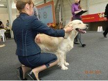 ����������� 266.jpg