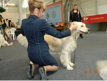 ����������� 267.jpg