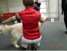 ����������� 269.jpg