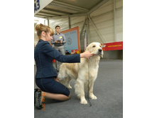 ����������� 270.jpg