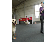 ����������� 271.jpg