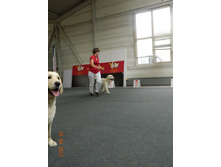 ����������� 272.jpg