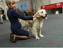 ����������� 273.jpg