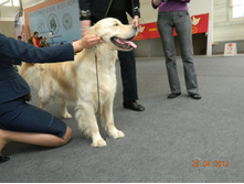 ����������� 274.jpg