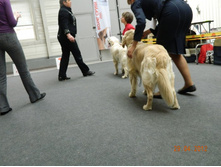 ����������� 276.jpg