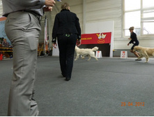 ����������� 277.jpg