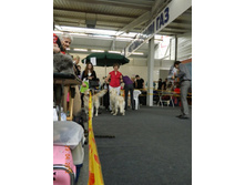 ����������� 279.jpg