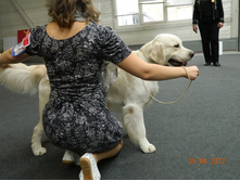 ����������� 280.jpg