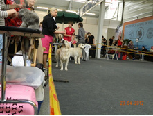 ����������� 281.jpg