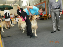 ����������� 282.jpg