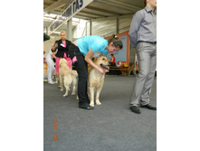 ����������� 283.jpg