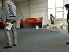 ����������� 284.jpg