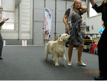 ����������� 285.jpg