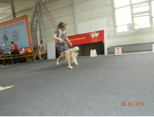 ����������� 286.jpg