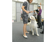 ����������� 287.jpg