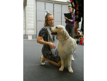 ����������� 288.jpg