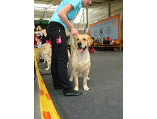 ����������� 289.jpg