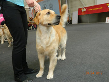 ����������� 290.jpg