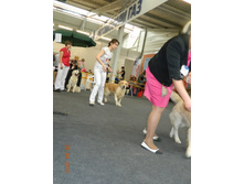 ����������� 291.jpg