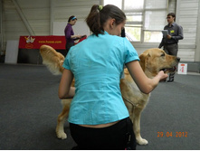 ����������� 292.jpg