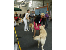 ����������� 293.jpg