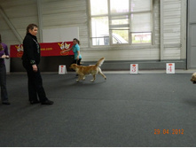 ����������� 294.jpg