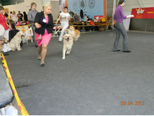 ����������� 295.jpg