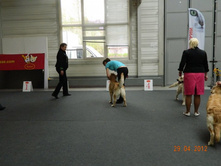 ����������� 296.jpg