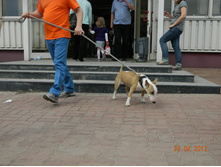 ����������� 297.jpg