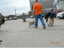 ����������� 298.jpg