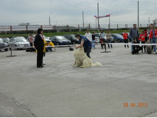 ����������� 299.jpg