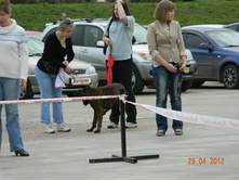 ����������� 300.jpg