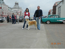 ����������� 301.jpg