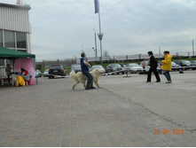 ����������� 303.jpg