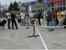 ����������� 304.jpg