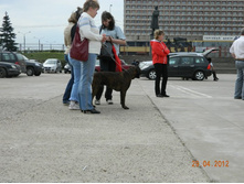 ����������� 307.jpg